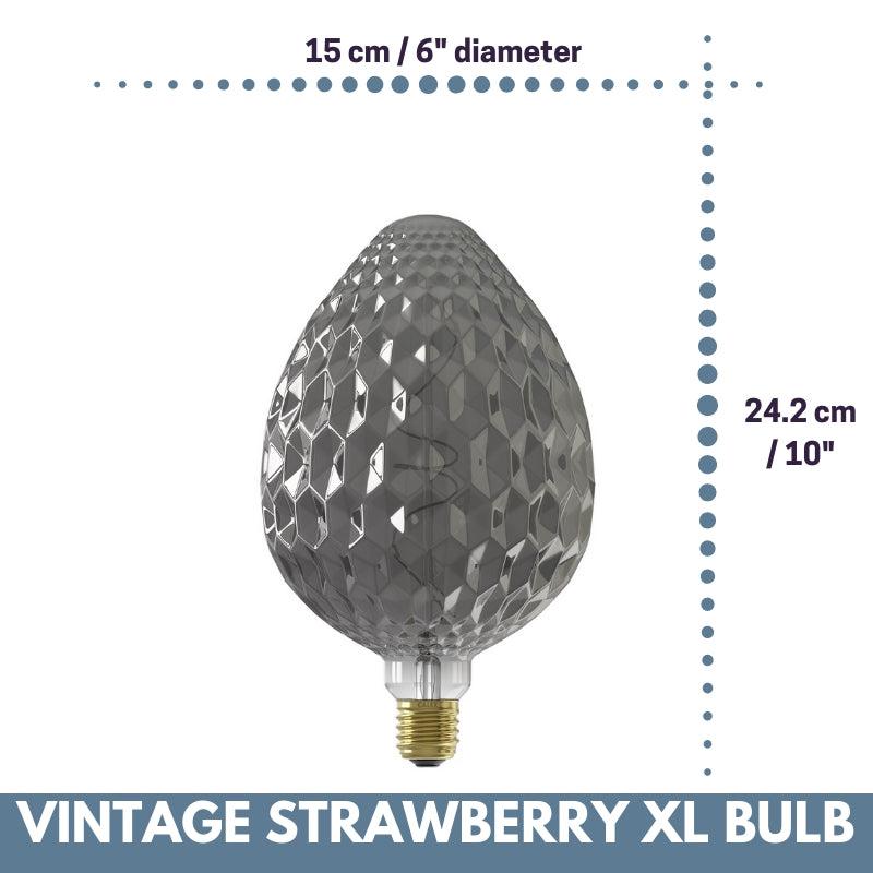 Decorative Vintage Oversized STRAWBERRY LED Bulb for Display Table Desk Pendant Light Fixtures-XL-Titanium-Distinct Designs (London) Ltd